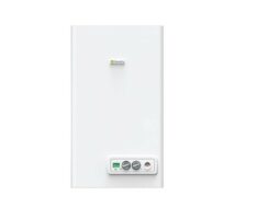 Настенный газовый котел Beretta City 24 CAI