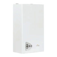 Настенный газовый котел Ferroli Vitabel F24