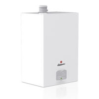 Настенный газовый котел Lamborghini LMB TORO 60