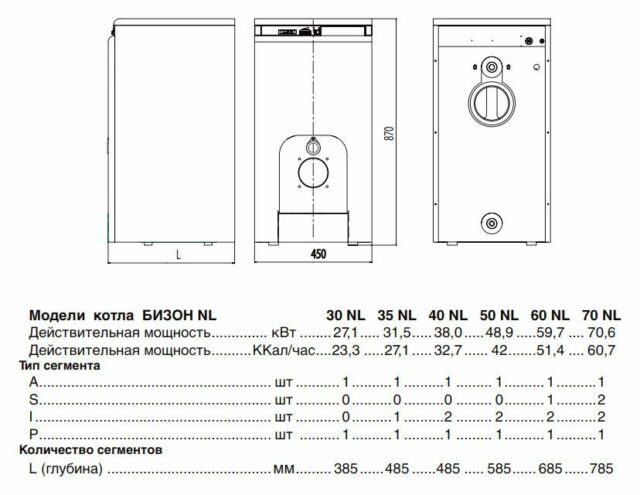 Комбинированный котел Protherm Бизон 30 NL (0010003940) — изображение 4