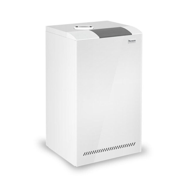 Напольный газовый котел Thermona THERM 24 KDNS — изображение 2