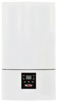 Настенный газовый котел Wolf CGG-3-24