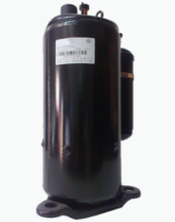 Компрессор Compressor RAC-10(14)SH2 (HWRAC-SX10HAK A02)