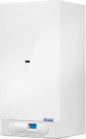 Настенный газовый котел Thermona THERM 12/18 TCLN.A