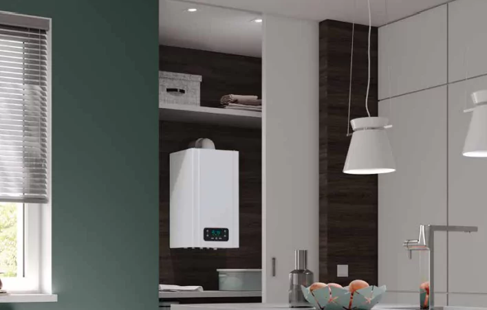 Настенный газовый котел ECA GERDA 20 HM NG — изображение 4