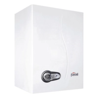 Настенный газовый котел Ferroli Bluehelix TECH S 45H (0T2D5IWA)