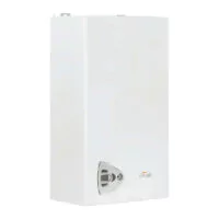 Настенный газовый котел Ferroli Vitabel F20 (ZL0BYJ5JYA)