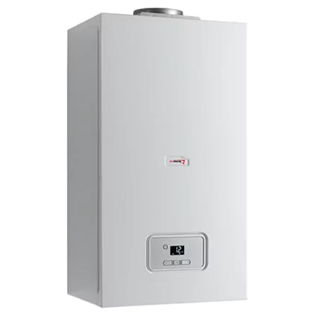 Настенный газовый котел Protherm Гепард 12MOV (0010015235) — изображение 2